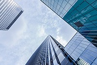 Congratulations on the official launch of the company's website